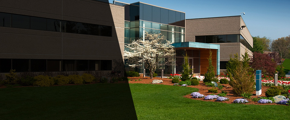 Wilsonville Landscapers