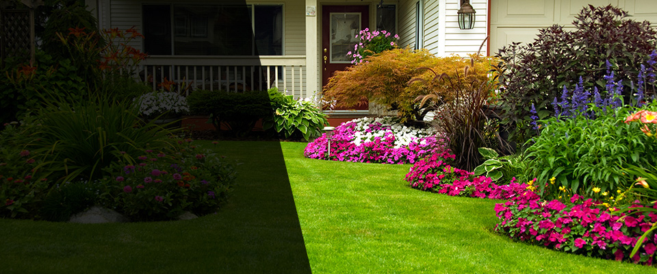 Wilsonville Landscapers